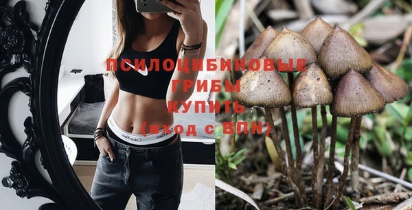 mdpv Михайлов