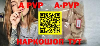герыч Кингисепп