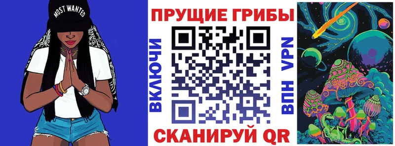Псилоцибиновые грибы мухоморы  площадка телеграм  Вологда  цены  