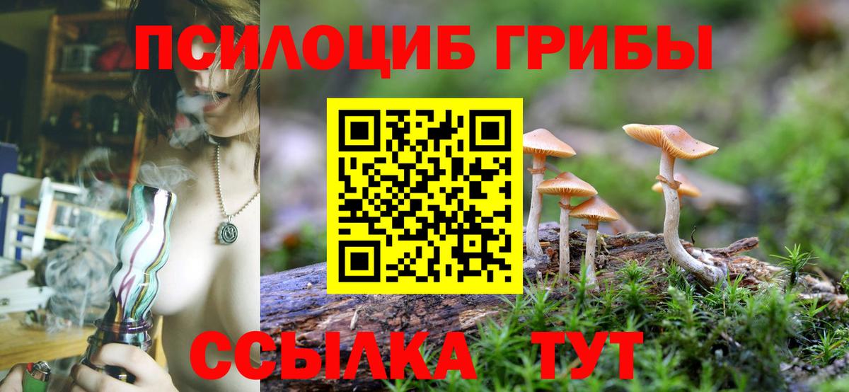 Галлюциногенные грибы Cubensis Вологда